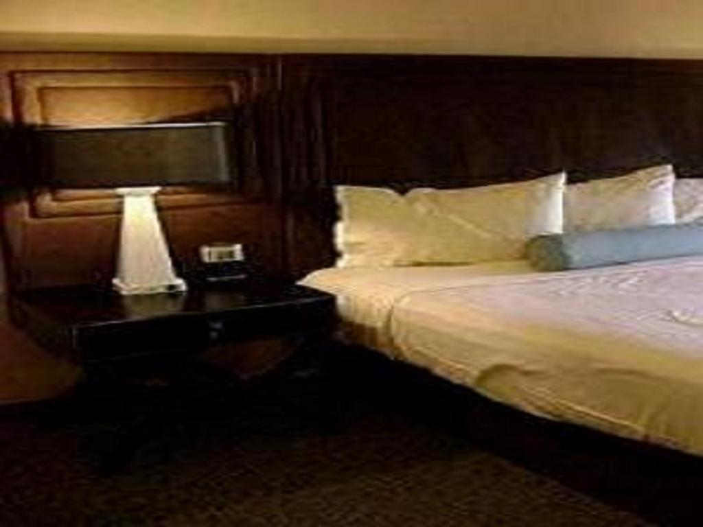 Hotel Sagar Castle Ratlām Room photo